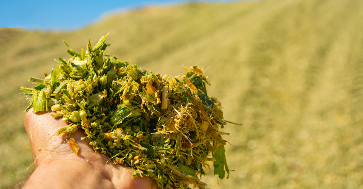 NASTRO PER RECINZIONI TITAN – Agrifer Clusone
